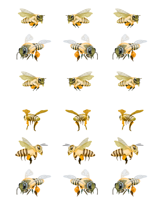 All About Bees Sticker Sheet