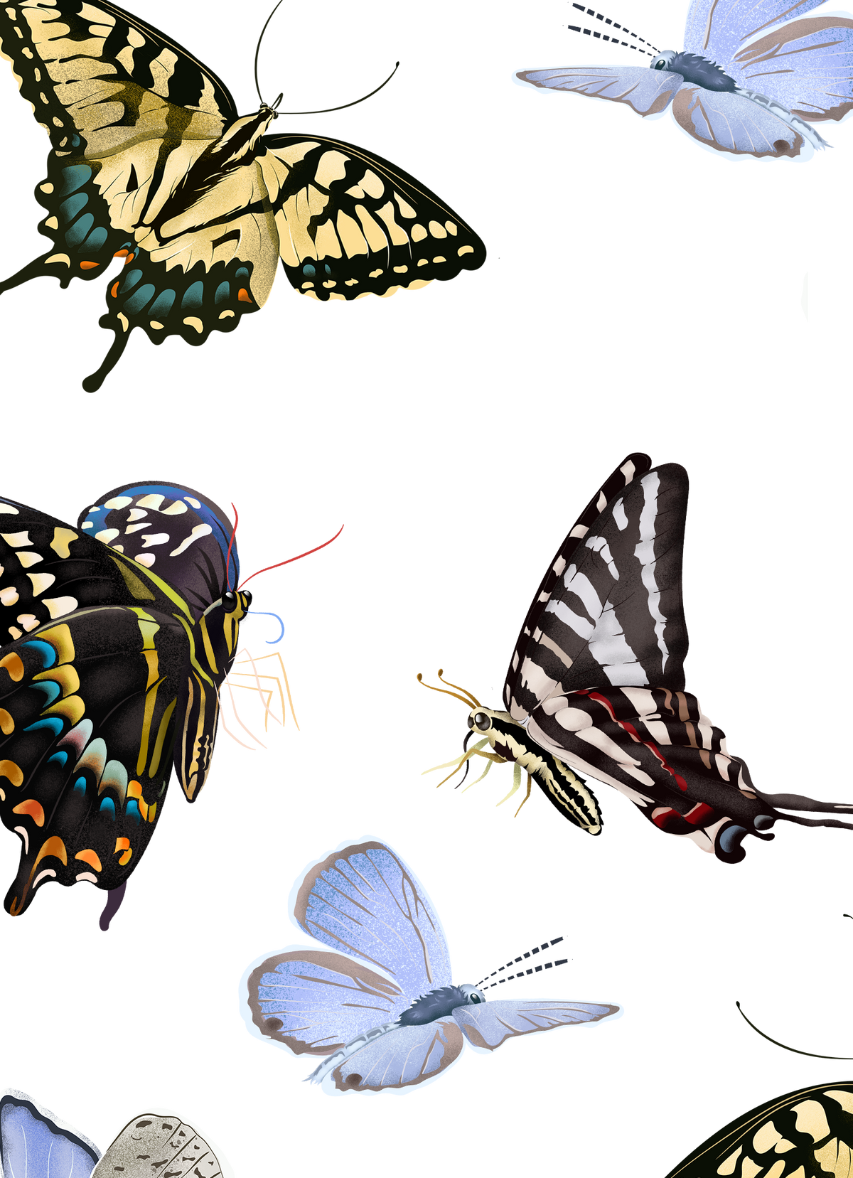 Butterfly Collection Sticker sheet