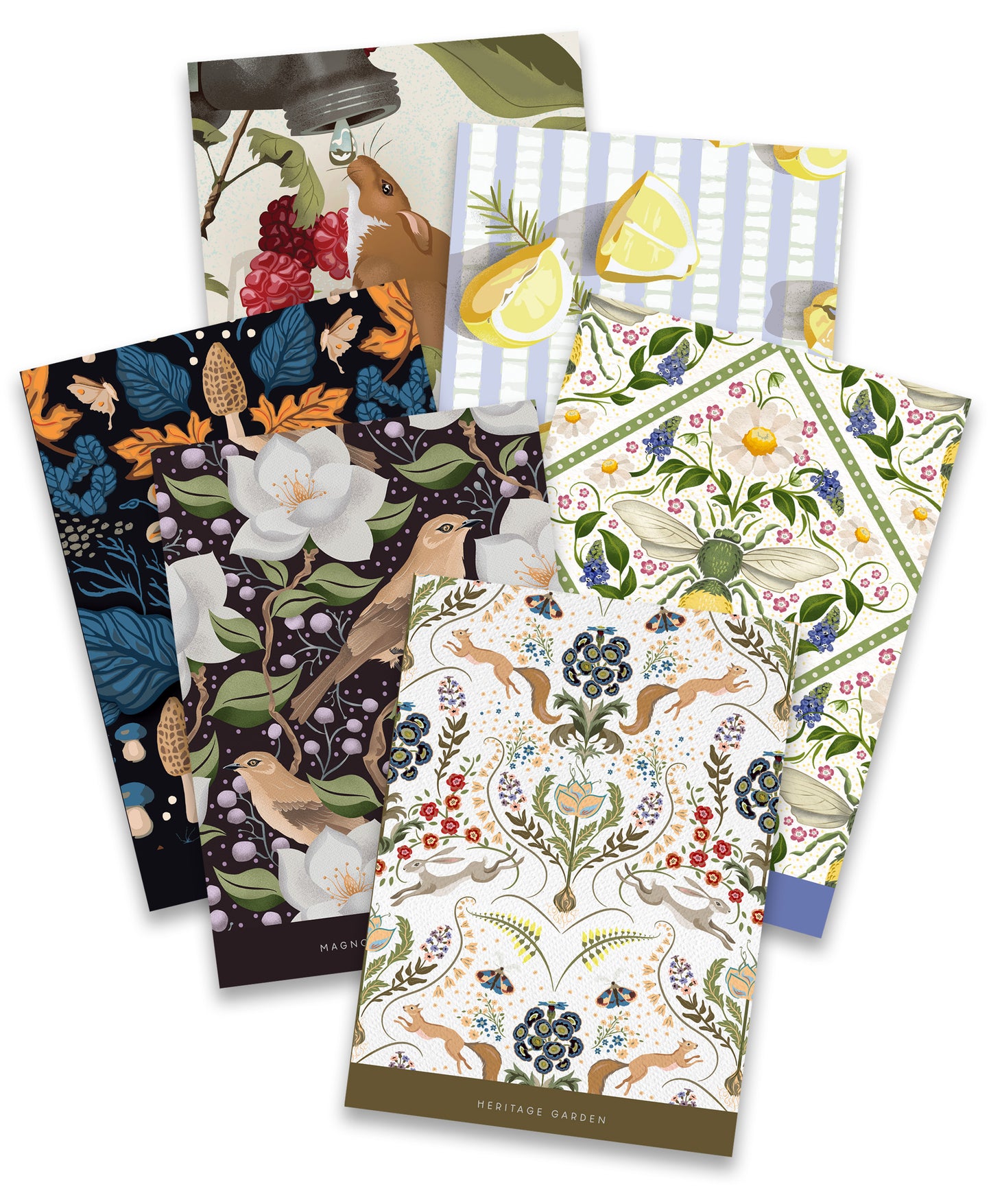 Greeting Card Variety Pack