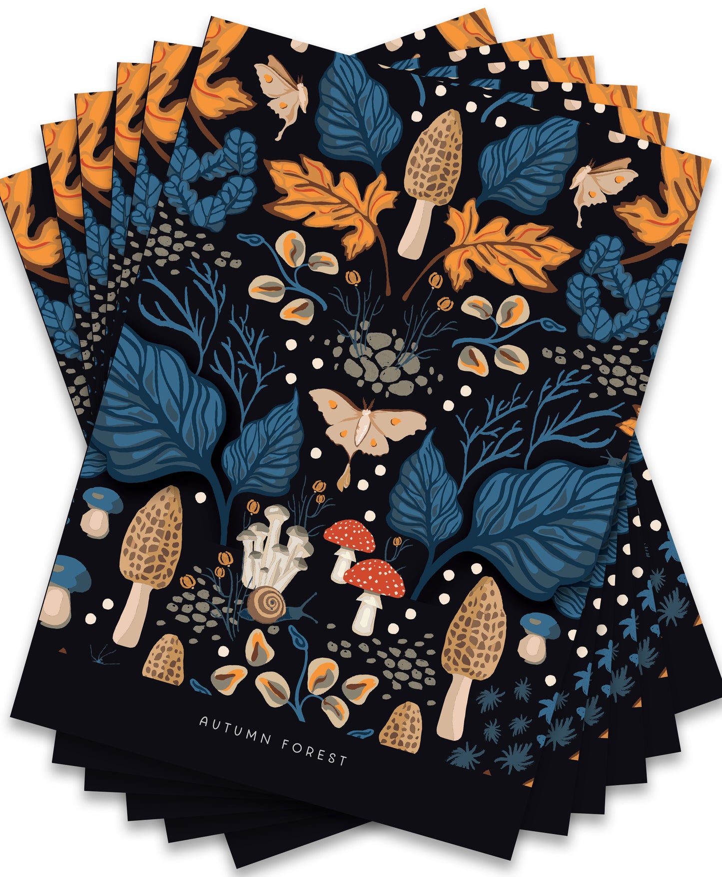 Autumn Forest Greeting Card 6 pack