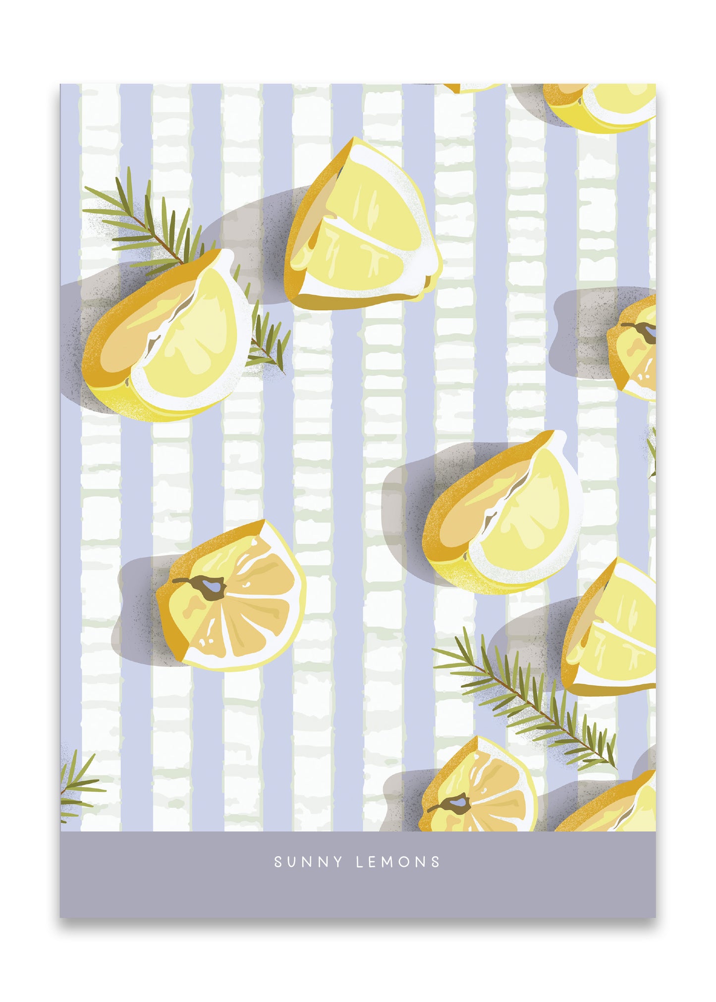 Greeting Card Variety Pack