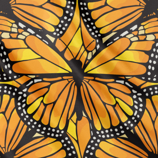 Monarch Journey