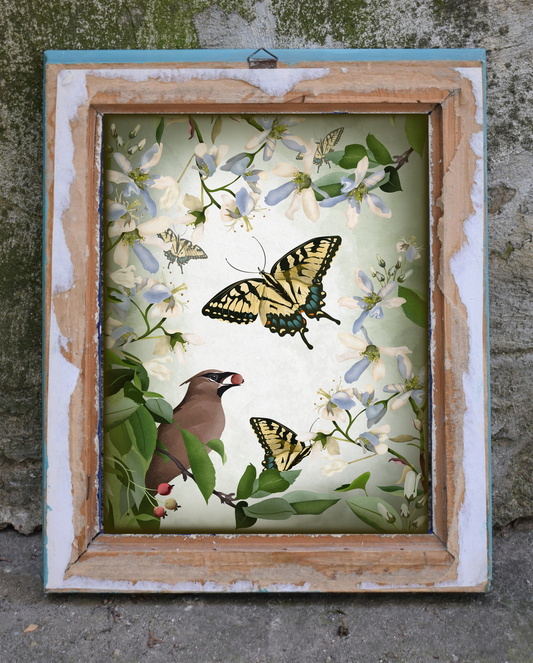 Waxwing and Swallowtails framed art print featuring a cedar waxwing and swallowtail butterflies among pale spring blossoms and red berries.