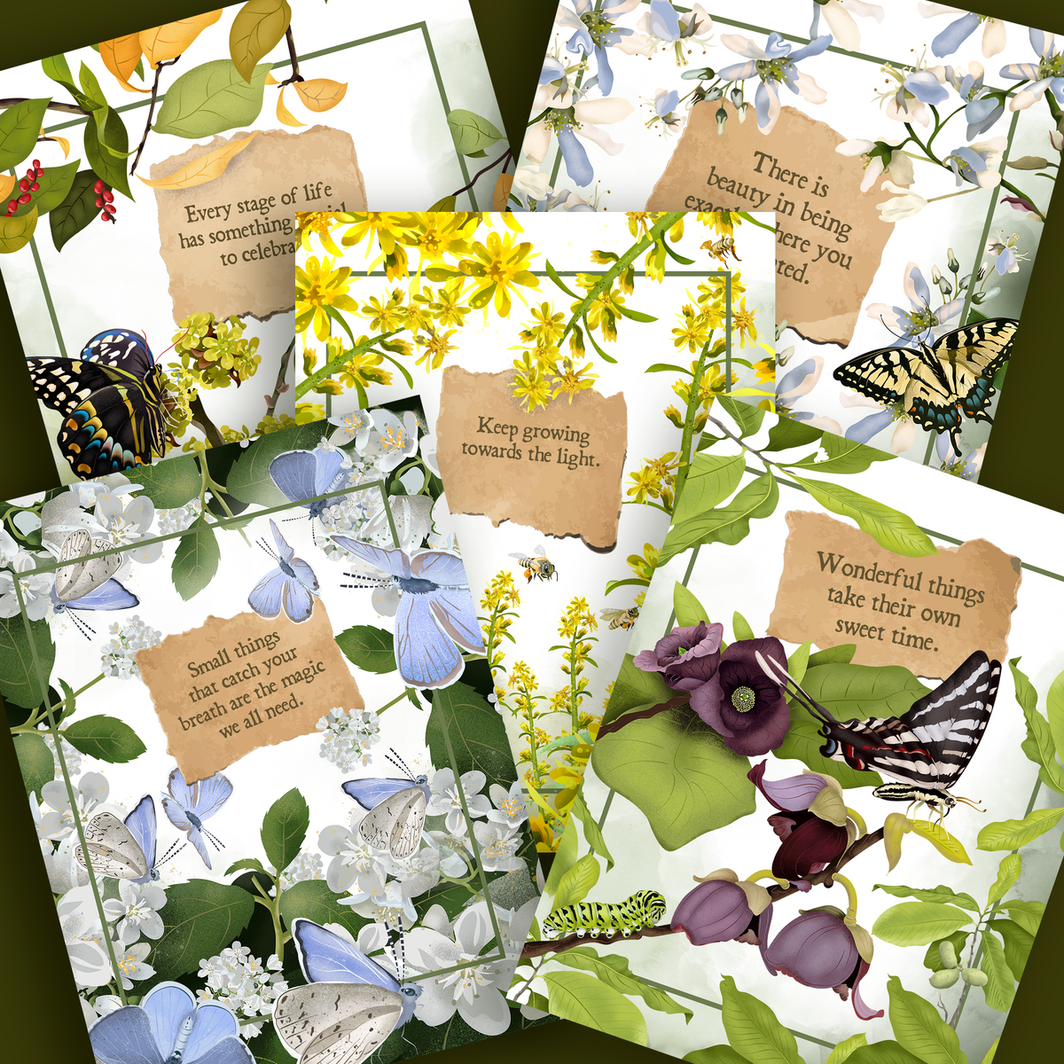 Pollinator Series | Set of 5 Art Greeting Cards