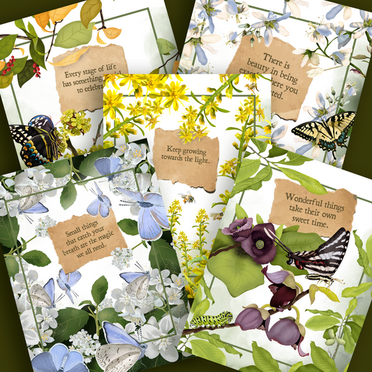 Pollinator Series | Set of 5 Art Greeting Cards