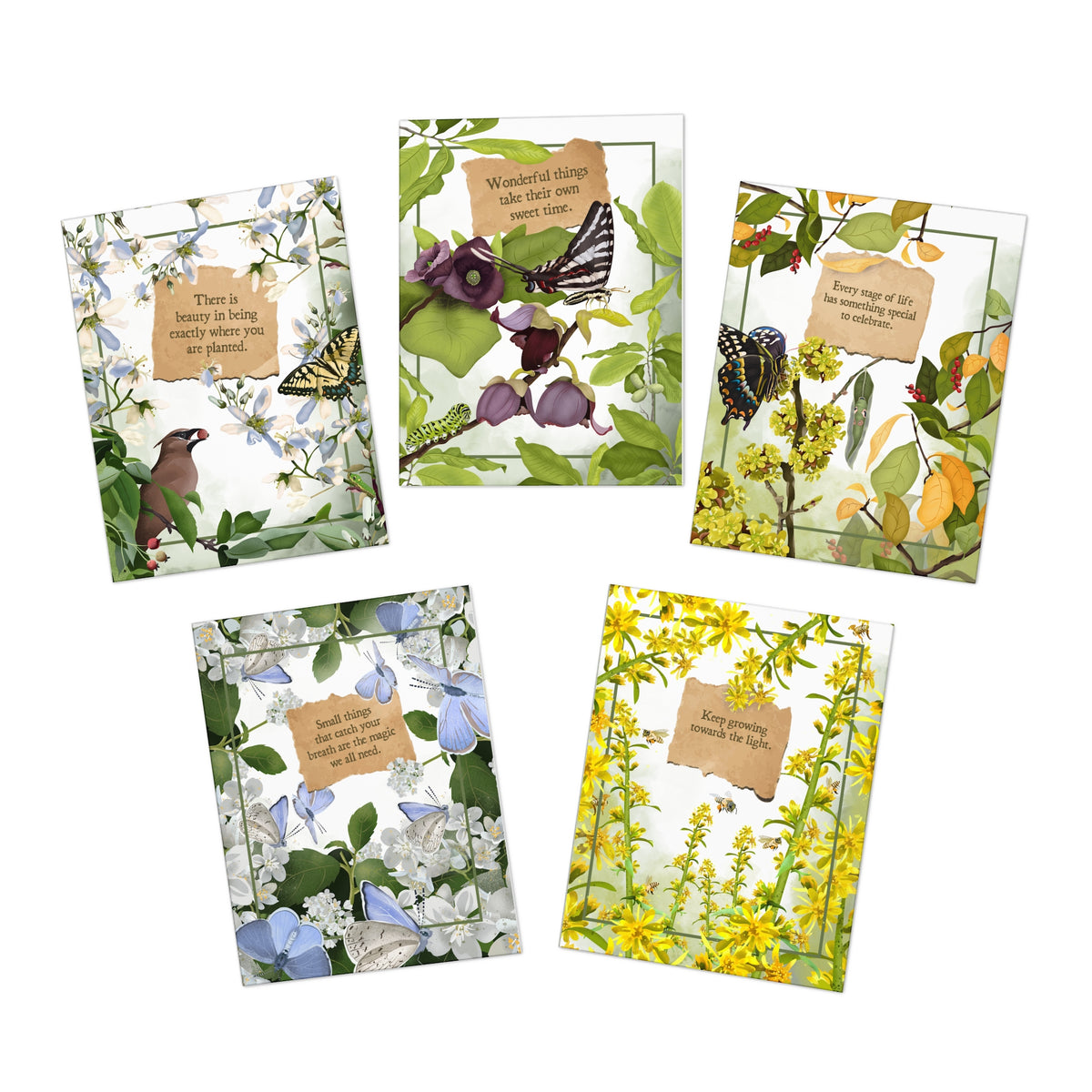 Pollinator Series | Set of 5 Art Greeting Cards