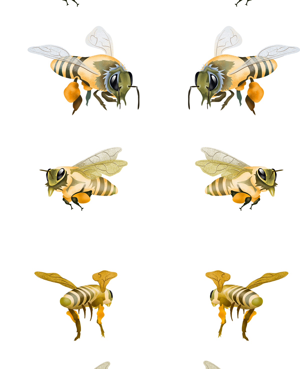 All About Bees Sticker Sheet
