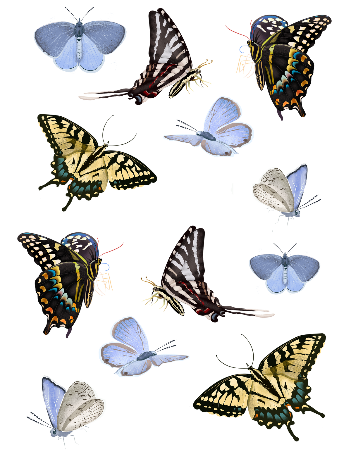 Butterfly Collection Sticker sheet