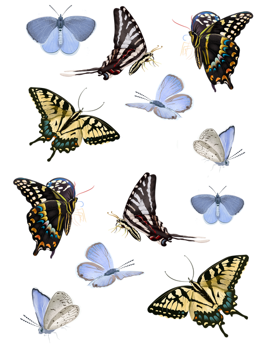 Butterfly Collection Sticker sheet