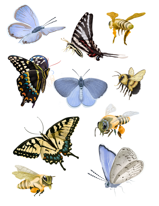 Pollinator Party Sticker Sheet