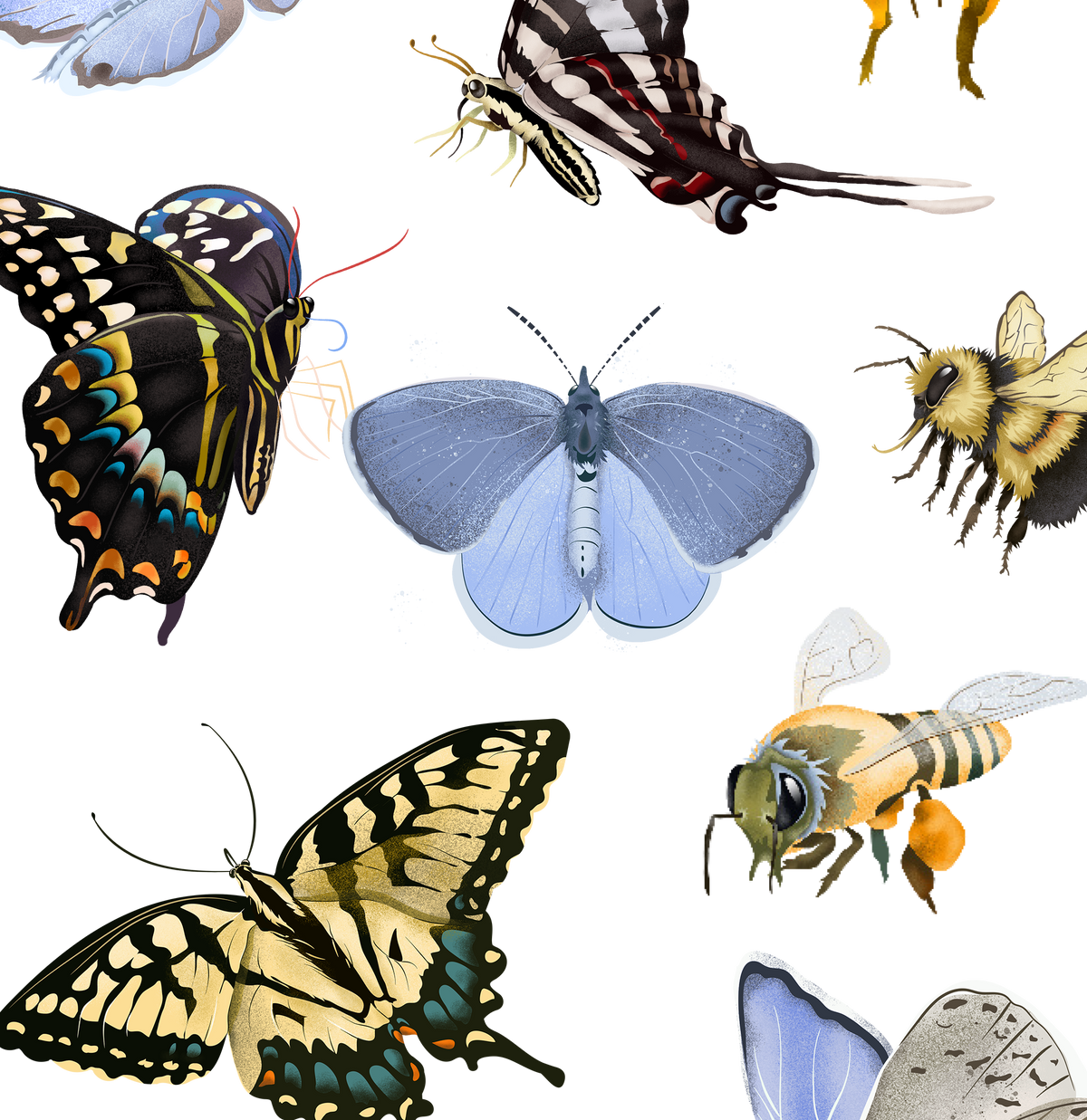 Pollinator Party Sticker Sheet