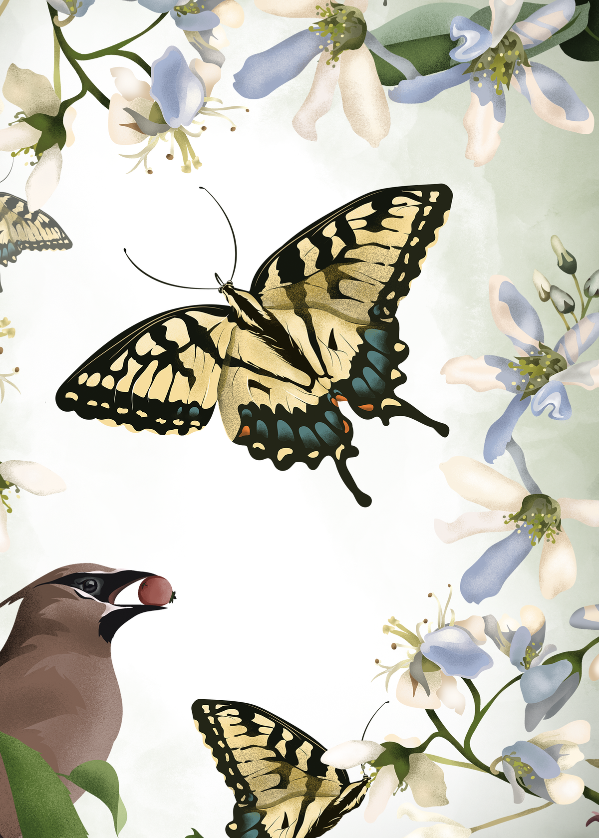 Waxwing and Swallowtails art print close up featuring a cedar waxwing and swallowtail butterflies among pale spring blossoms and red berries.