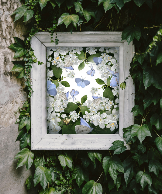 A little garden magic in motion. Blue Butterfly Dance art print brings together delicate blue butterflies, soft blossoms, and deep green foliage in a dreamy garden scene seen as a framed print in a garden.